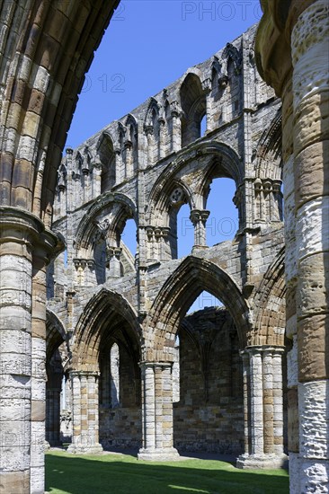 Whitby Abbey