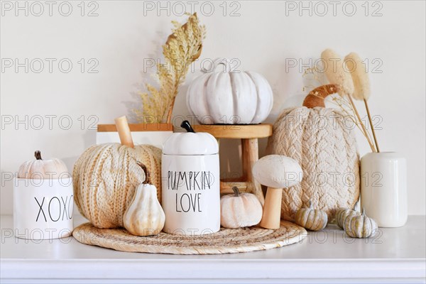 Boho style fall decor with pumpkins and dried flowers and copy space