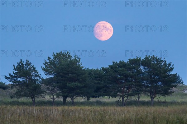 Full moon rising