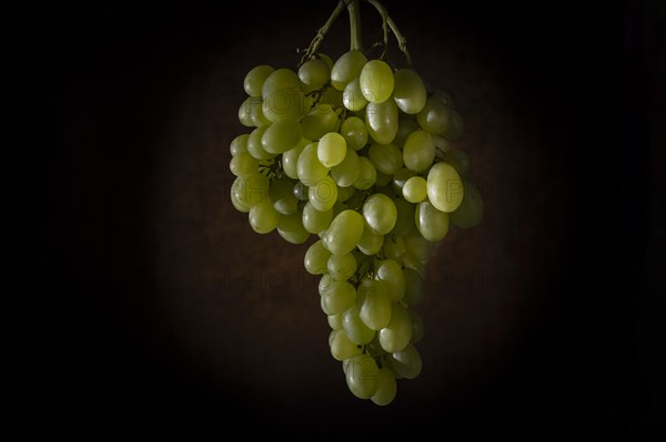 White grapes