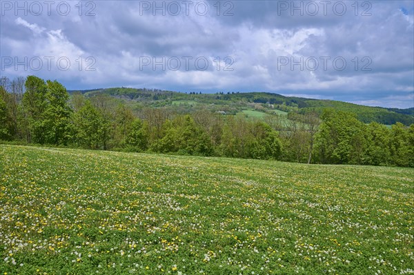 Low mountain landscape