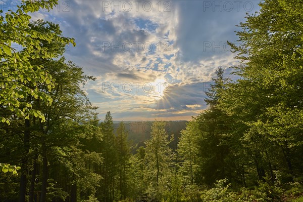 Low mountain landscape