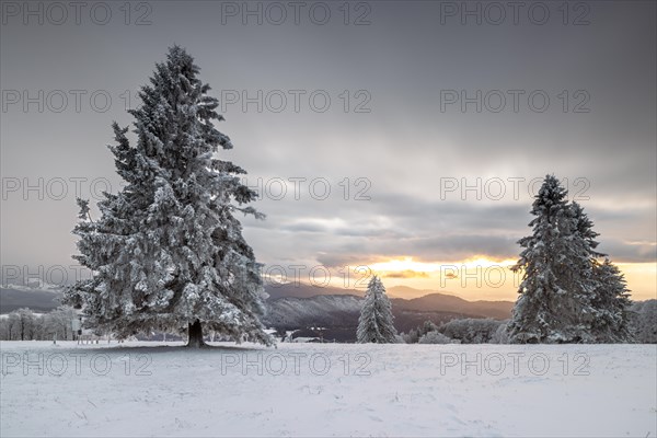 Winter sunset on the mountain with hoarfrost on the trees and fog