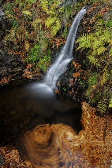 Mountain stream and waterfall in autumn forest