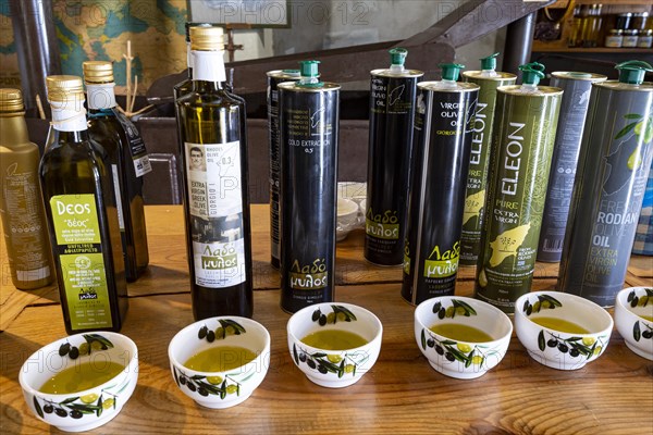 High quality olive oil in a shop for sale