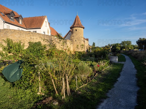 Part of the old town wall and towers