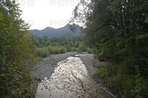 Tributary of the Isar near Lenggries