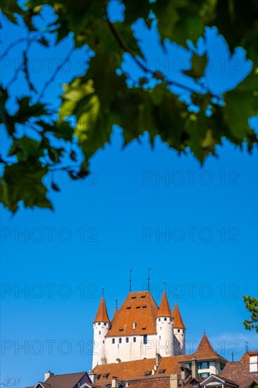 City of Thun with Castle and Branch with Blue Clear Sky in a Sunny Day in Thun