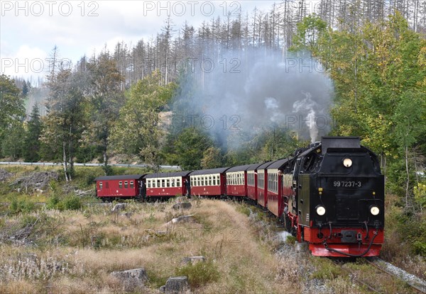 Harz narrow-gauge railway