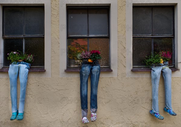 Crazy Pants with Flowers Funny Arrangement with Old Jeans