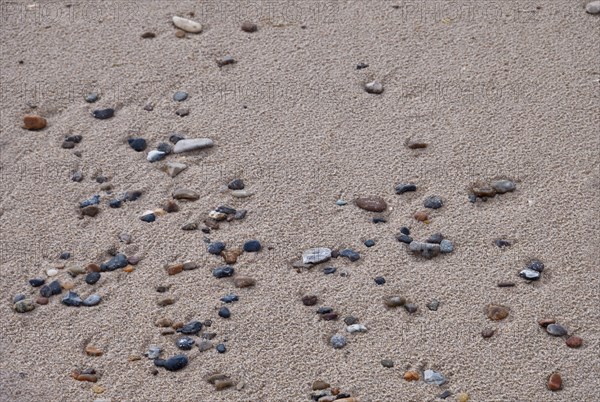 Stones in the sand on the beach