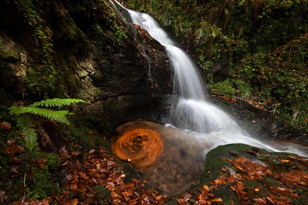 Waterfall in autumn forest