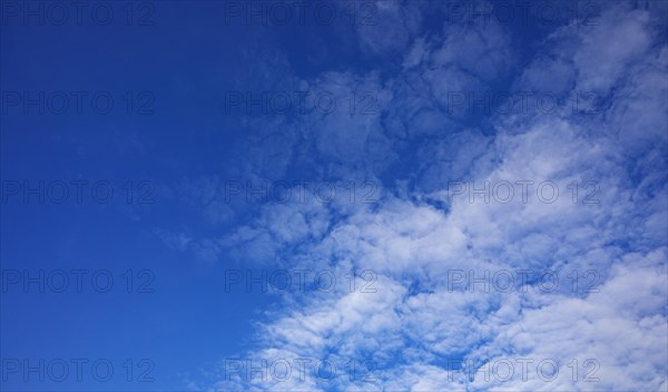 Cloudscape of altocumulus clouds