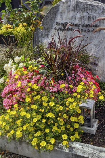 Gravestone with begonias