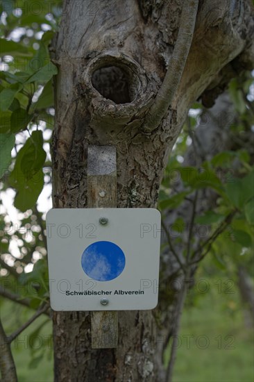 Hiking trail sign of the Swabian Albverein