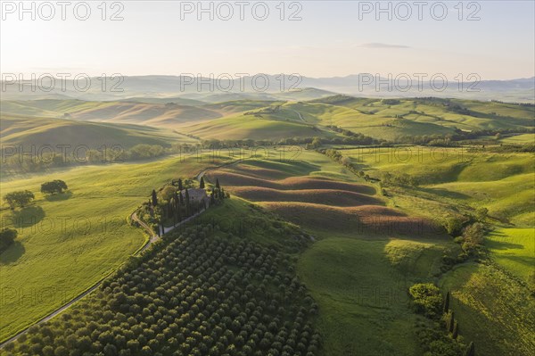 Podere Belvedere Estate and Fields