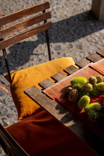 Beautiful Rustic Table and Chair with Chestnut and Sunlight in Ticino