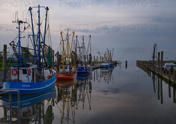 Evening atmosphere in the cutter harbour of Dorum-Neufeld