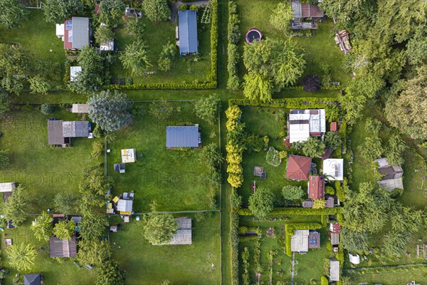 Allotment garden