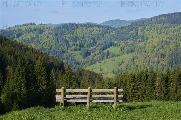 Low mountain landscape