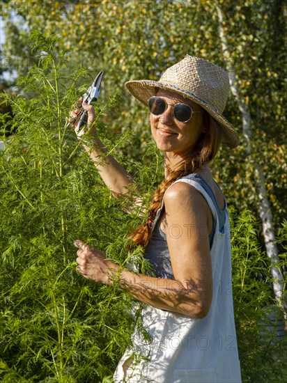 Woman in herb bed