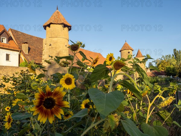 Part of the old town wall and towers