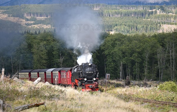 Harz narrow-gauge railway