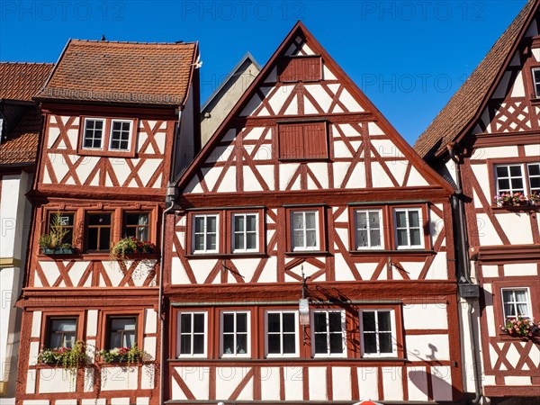 Half-timbered house