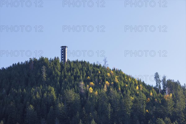 Lookout tower on the Buchkopf on an autumn day