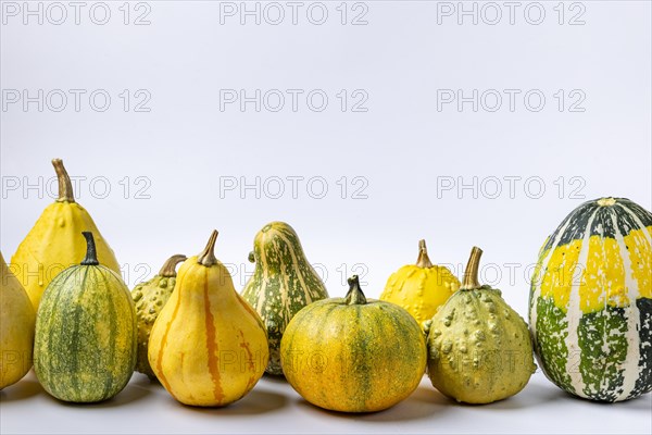 Various ornamental pumpkins in a row