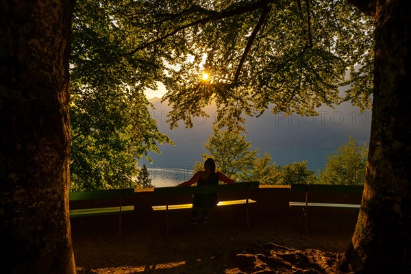 Woman Sitting on a Bench with Trees and with Sunbeam and Enjoy the View over Lake Brienz with Mountain in Giessbach