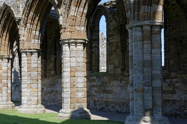 Whitby Abbey