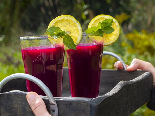 Freshly squeezed juice of beetroot with apple and lemon in a juice glass