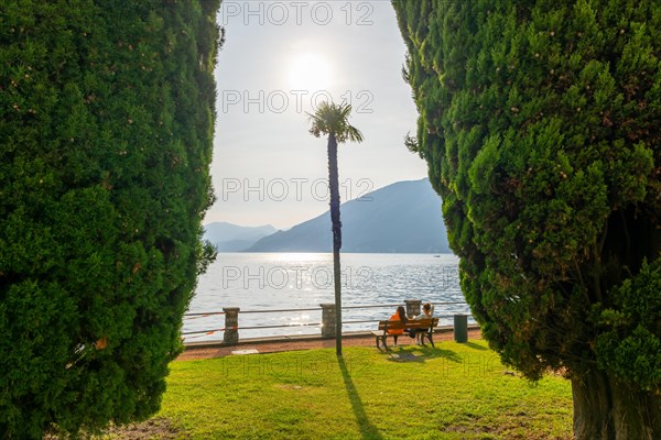 People Sitting on a Bench in a Park with Trees on the Waterfront with Railing to Lake Lugano with Mountain in a Sunny Summer Day in Bissone