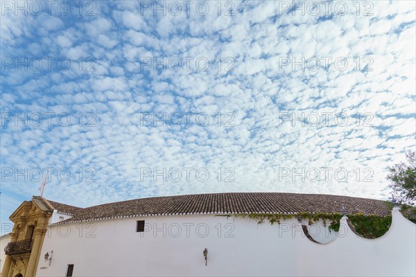 View of the facade of the bullring of Ronda