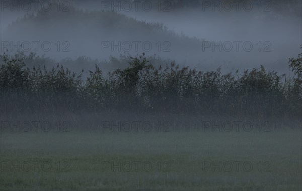 Autumnal foggy landscape in Pinzgau