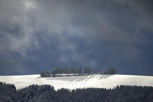 Fresh snow in November with a wonderful view of the Black Forest in a cloudy atmosphere