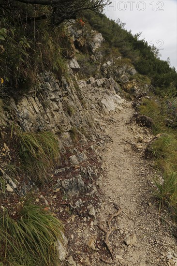 Hiking trail at the Achensee and view to the Achensee boat trip