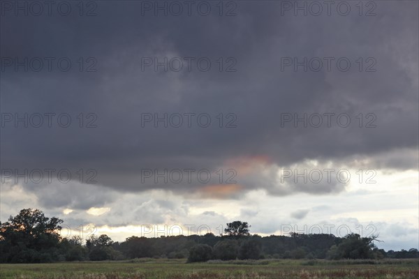 Evening mood over the Elbe meadows