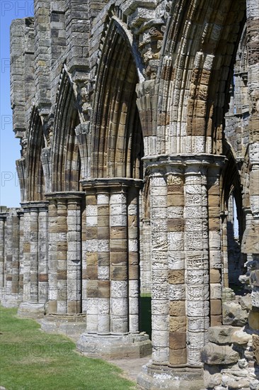 Whitby Abbey