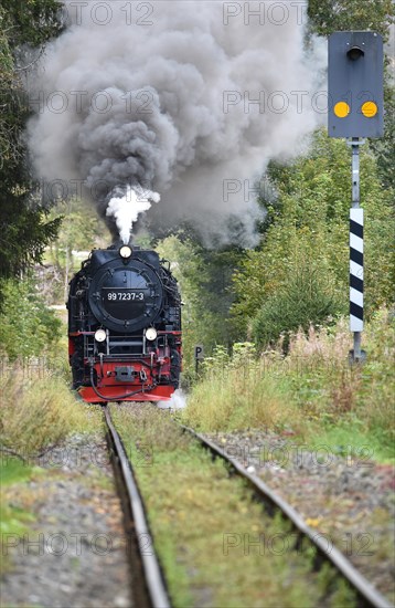 Harz narrow-gauge railway