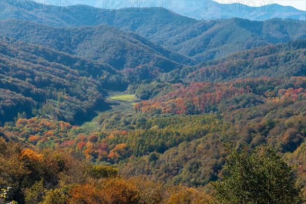 Gorgeous fall colors in the Artikutza natural park between Oiartzun and Lesaka. Basque Country