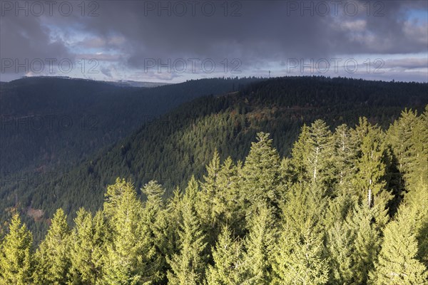 Autumn view from the Buchkopf