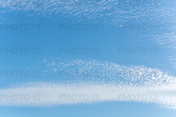 Mottled sky formed by Altocumulus stratiformis clouds. Bas-Rhin