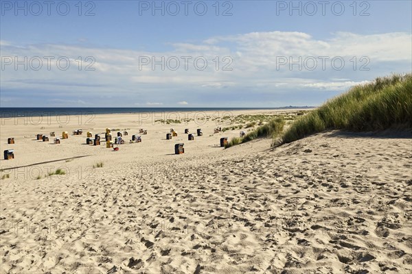 Beach with beach chairs and the North Sea in the distance