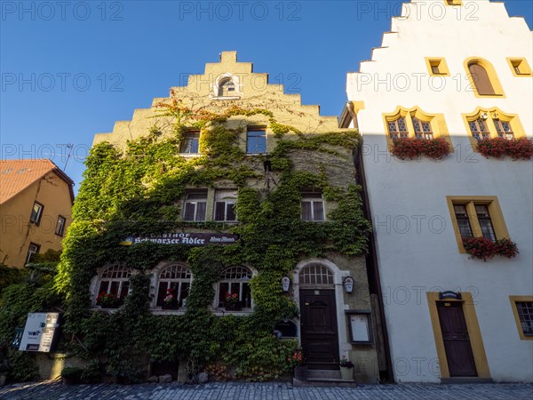 House with flower decoration