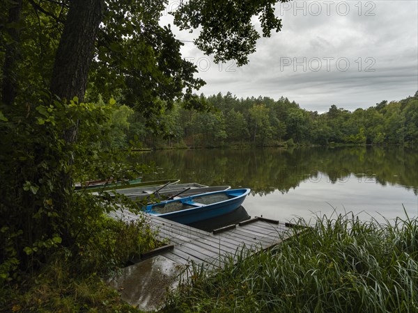 Fishing barges on a jetty in a heath lake near Koethen