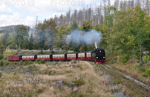 Harz narrow-gauge railway