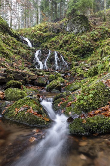 Waterfall in autumn forest