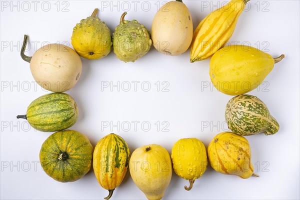 Various ornamental pumpkins